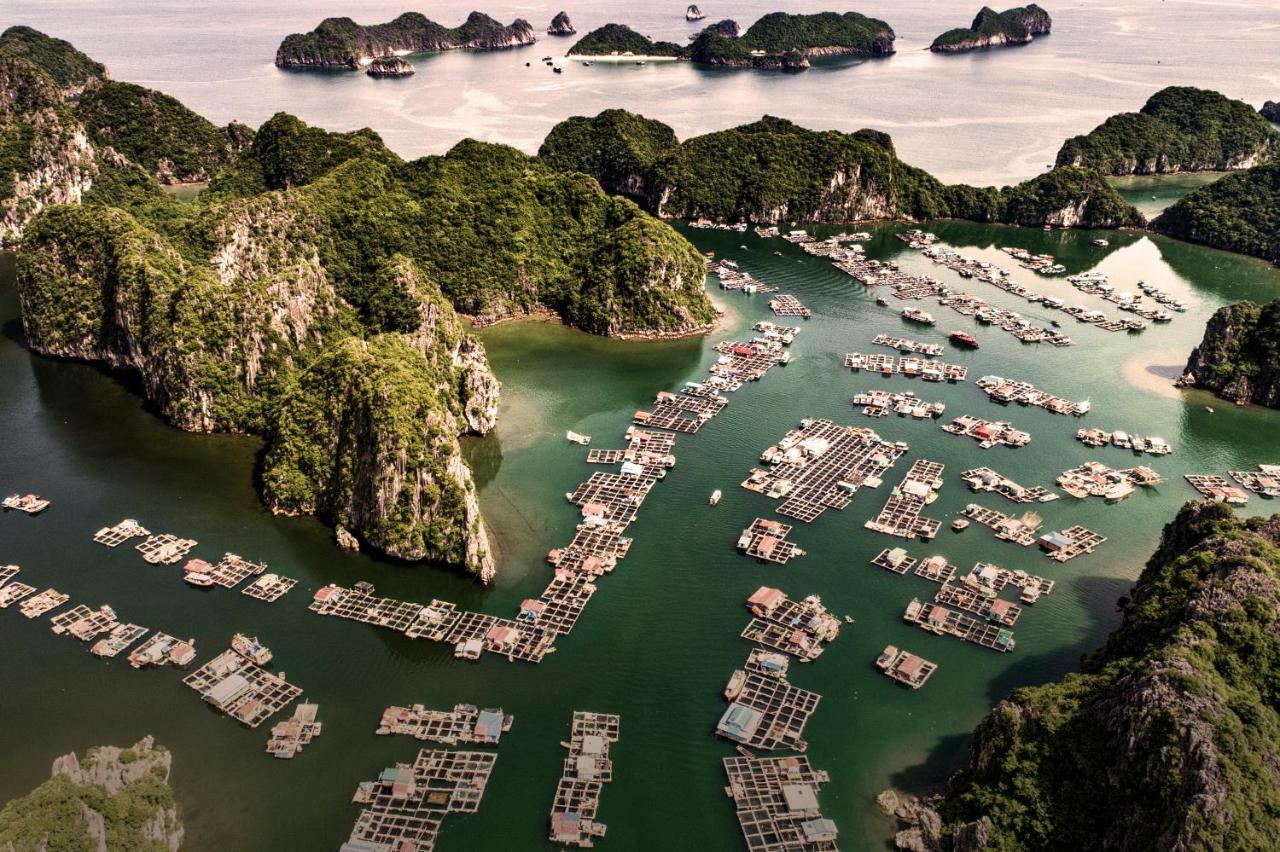 Heritage Line Ylang Cruise - Halong Bay & Lan Ha Bay Ha Long Dış mekan fotoğraf