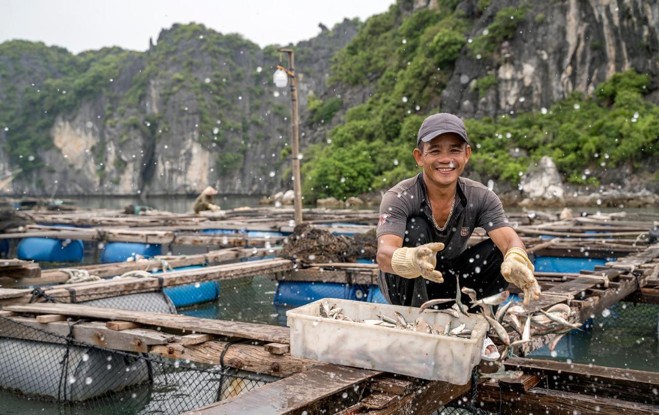 Heritage Line Ylang Cruise - Halong Bay & Lan Ha Bay Ha Long Dış mekan fotoğraf